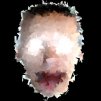 SoKrat