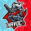 Havoc Gaming YT