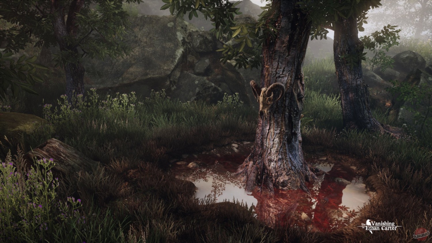 Скриншот 2 к игре The Vanishing of Ethan Carter [Update 4] (2014) PC | RePack от xatab