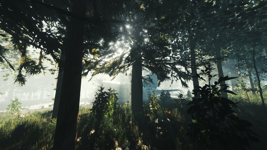Скриншот 1 к игре The Forest [v1.10] (2018) PC | RePack xatab