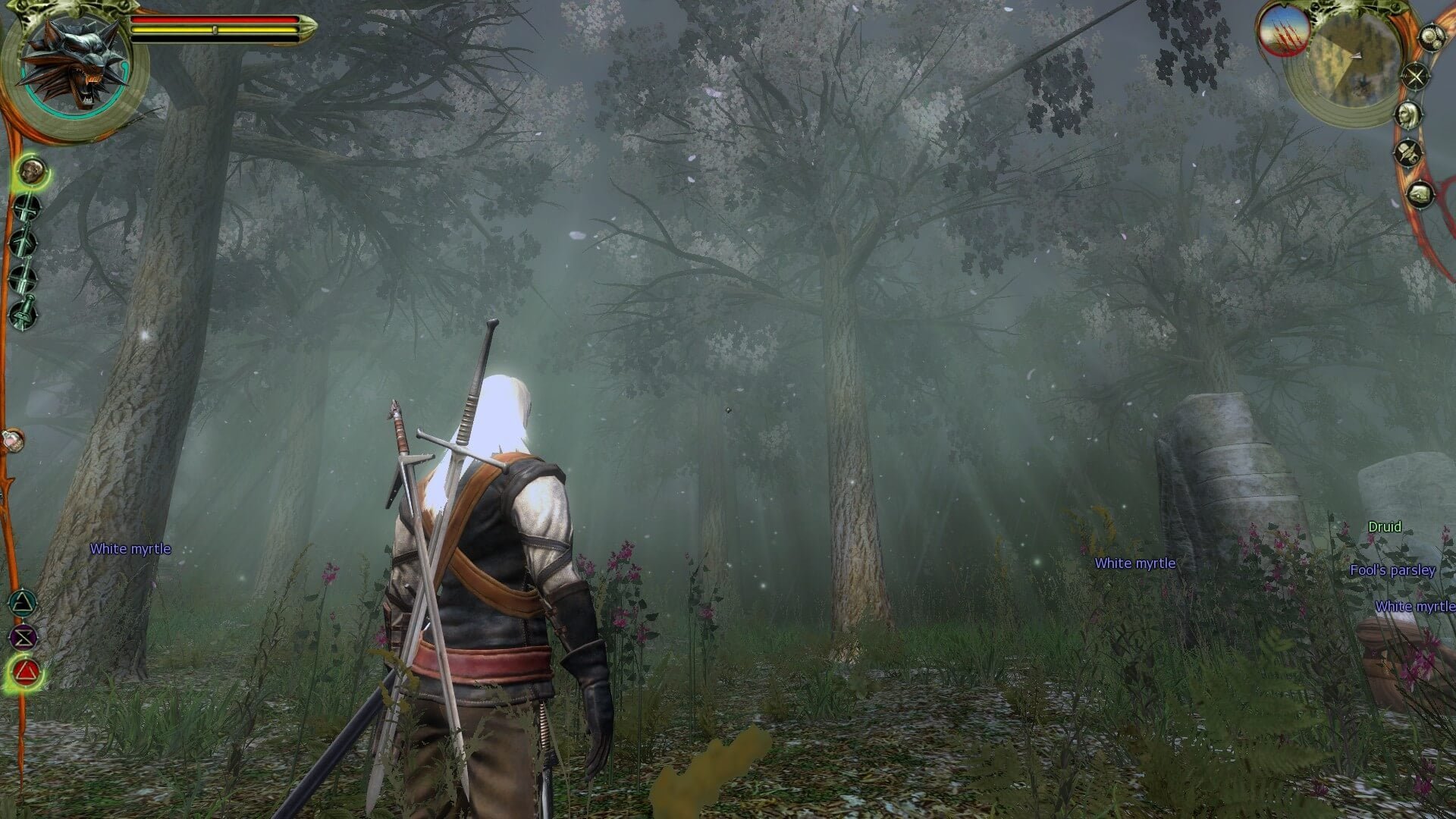 Скриншот 1 к игре The Witcher. Enhanced Edition [GOG] (2007) PC | Лицензия