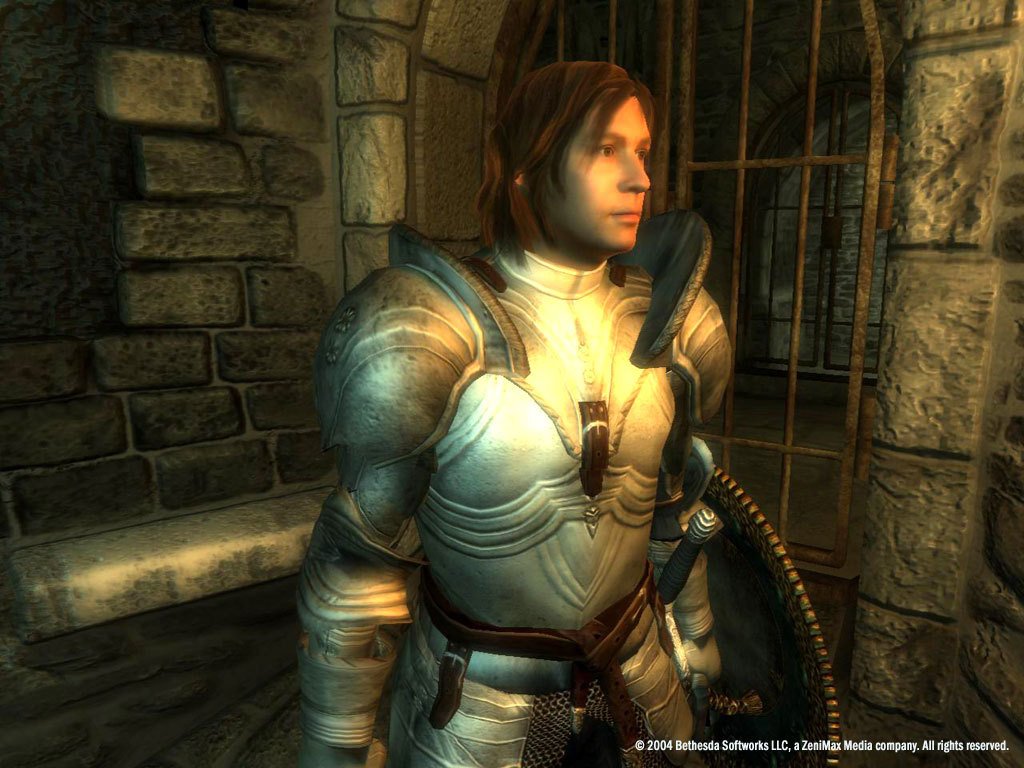 Скриншот 2 к игре The Elder Scrolls IV: Oblivion Game of the Year Edition Deluxe v.1.2.0416 CS (12788) [GOG] (2007)